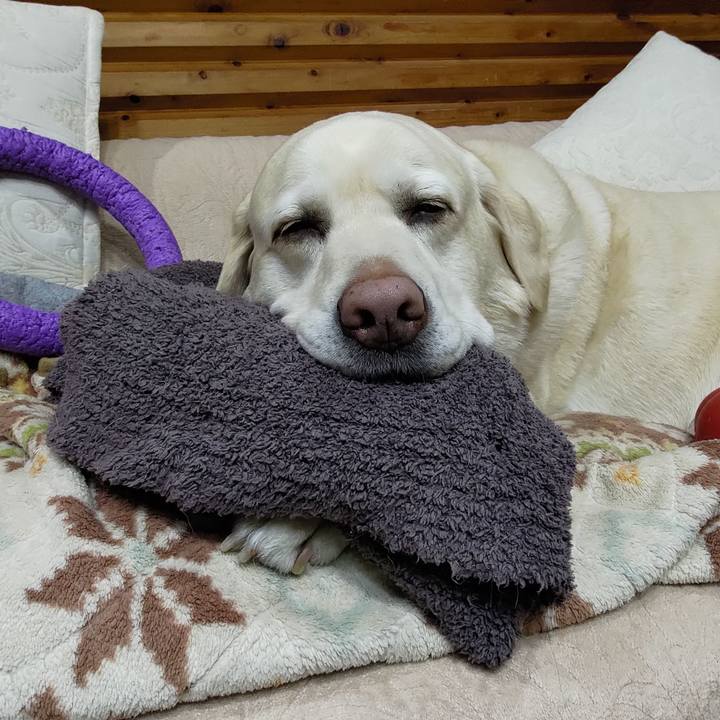 3d017a9c 65c7 41a3 977b cbb4968e7060 1709206578338