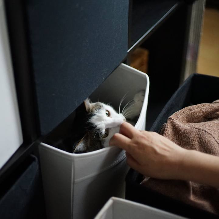 3d01ae70 6e8b 4ba1 9808 66c5c2990adf 1528515615825