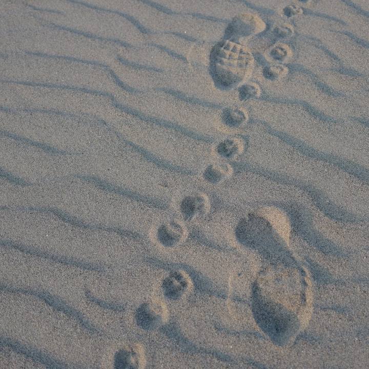 3d01ff2c c014 4675 b3cd 41d49aea7f64 1522211772406