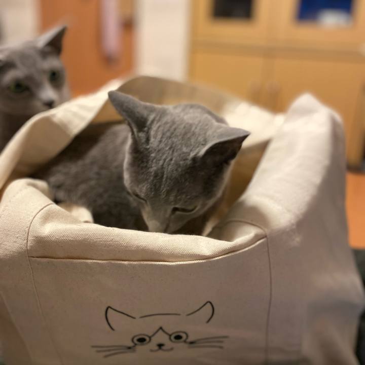 3d021599 5db3 4e81 b209 d0d37ad727ea 1651464394681