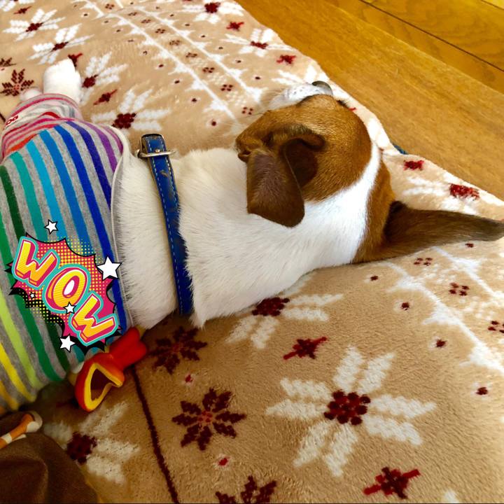 3d02185a 0667 4ffd 96c8 b16aaa5728a3 1545694420545