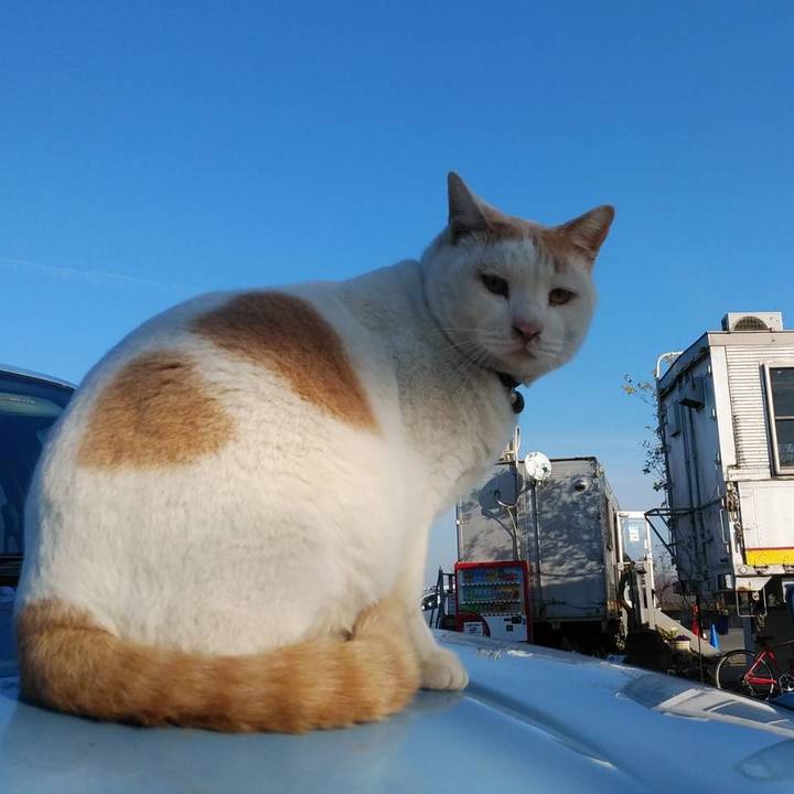 3d023bb1 fb57 47dc 9cb7 cebe75e500ff 1607645783769