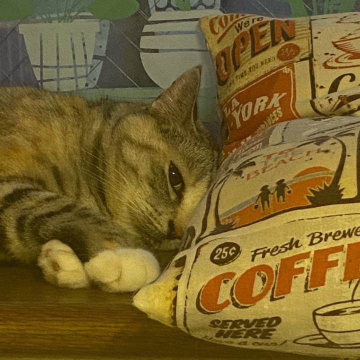 3d025d18 7d9f 4d3f 9269 9d1812037574 1627932910643