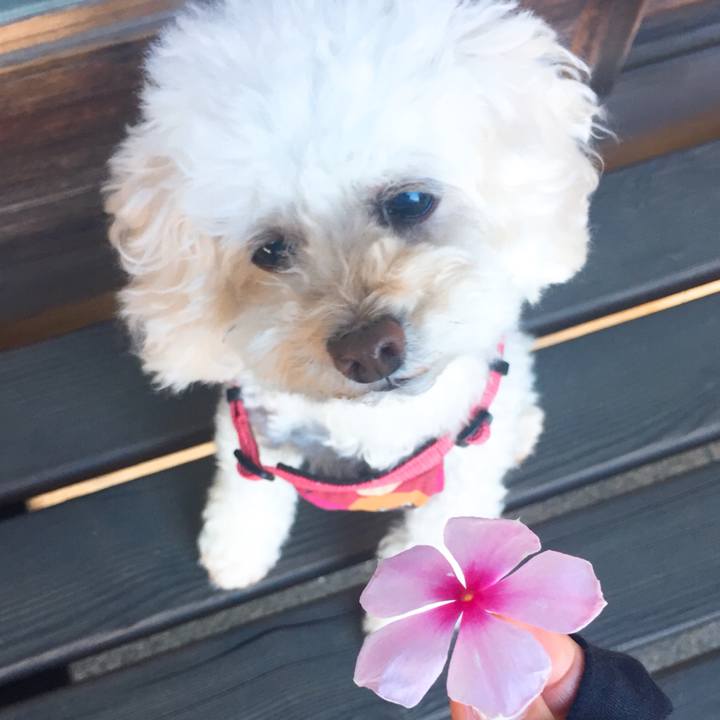 3d025f68 21ec 4280 bd05 0be2f9ee2184 1533267408873