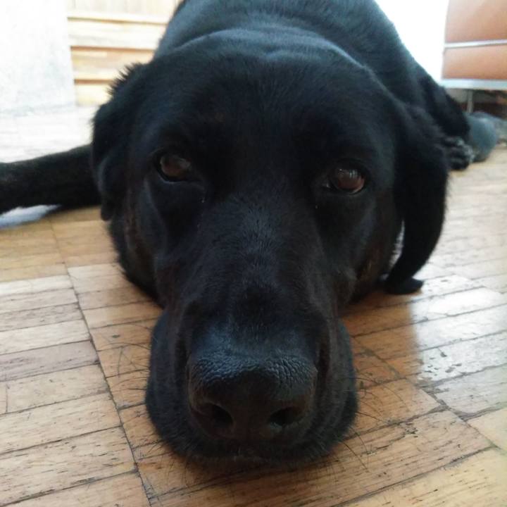 3d029a4e 50d7 4e4b b3fa 8c79dba73ccf 1565854102737