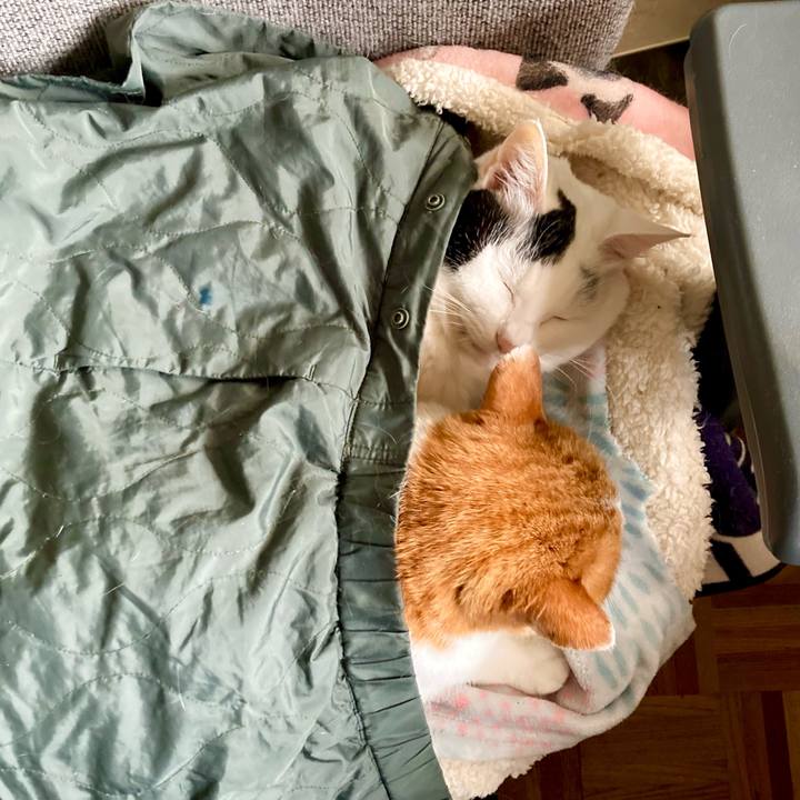 3d02b356 77ad 4f3c a5c3 690a048dab84 1669706483250