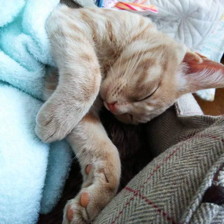 3d02c0a0 e629 4ae3 ad60 1086c5f54510 1543646508982