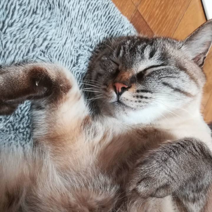 3d02e564 37bc 4667 ad76 afc6fbeaf5f3 1608202255833