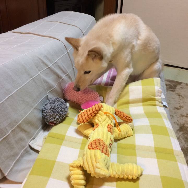 3d0313ad 997f 4459 9b01 a3aaae4bb404 1525869618209