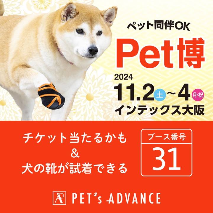 3d03161d c53c 4dc8 b061 778d1210c2fd 1728184128809