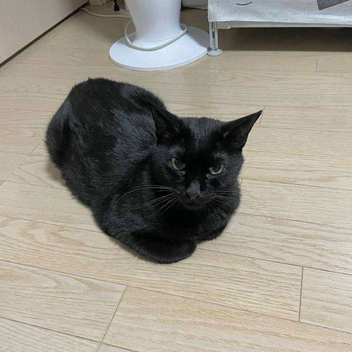 3d035633 7c8d 4dd8 b4ae bdf07e233999 1720257995960