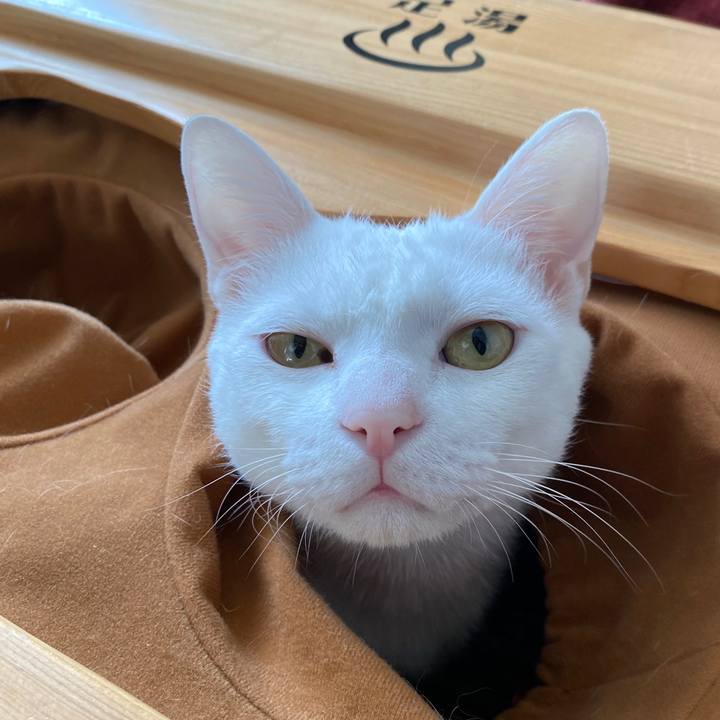 3d035f81 de0e 4e6e aa3f 4625e3330635 1708850836328