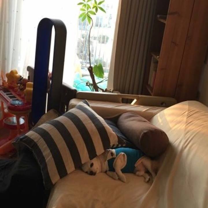 3d037281 c293 4aac aa03 19197defa342 1508932057465