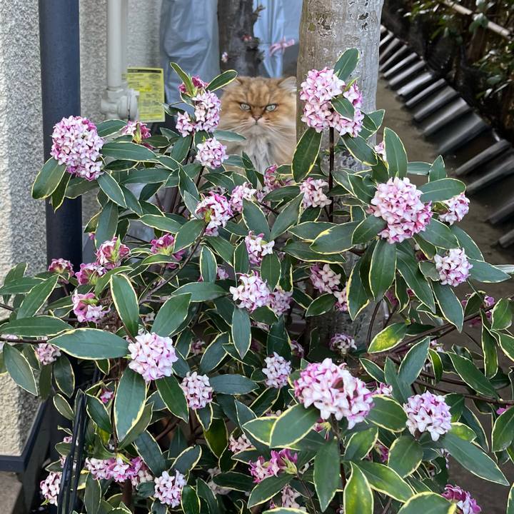 3d03bbdf 8acd 4ccc 856d 7511201e29b5 1679193586290