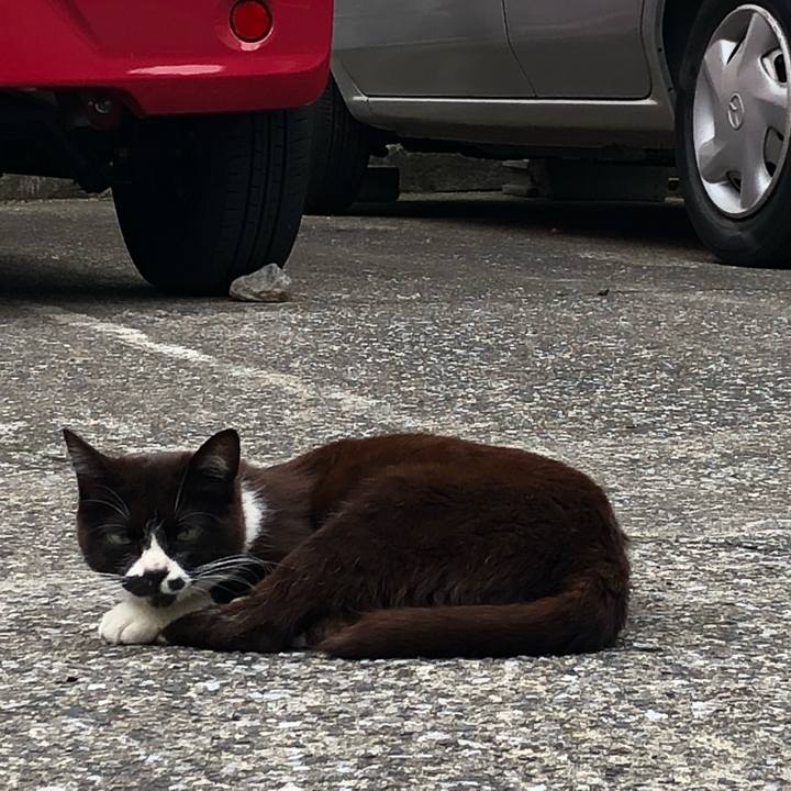 3d03ce98 cf29 4b13 adc5 286214383c26 1527776977421