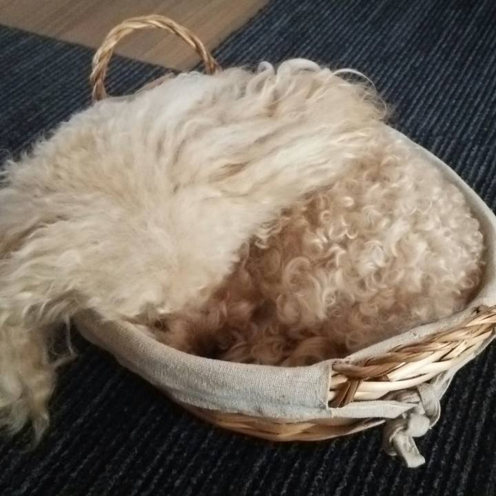 3d03e368 daba 4b6b 84cf de462b1ee2e3 1516797568077