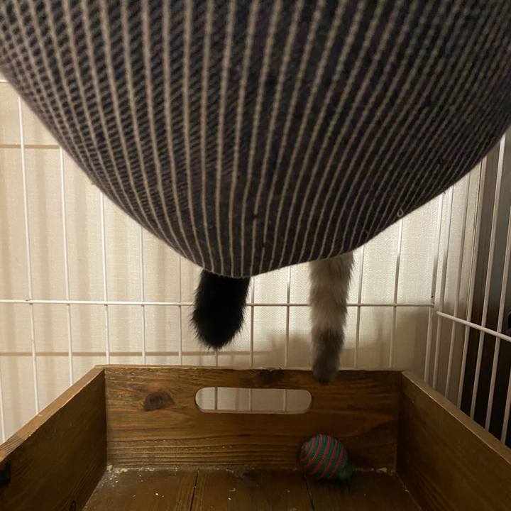 3d04397a c47c 4afb 928b a97e892bbad6 1633851241316