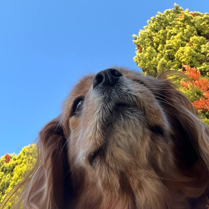 3d04426b 4974 430f 99d9 4ba694bb2938 1769734764183