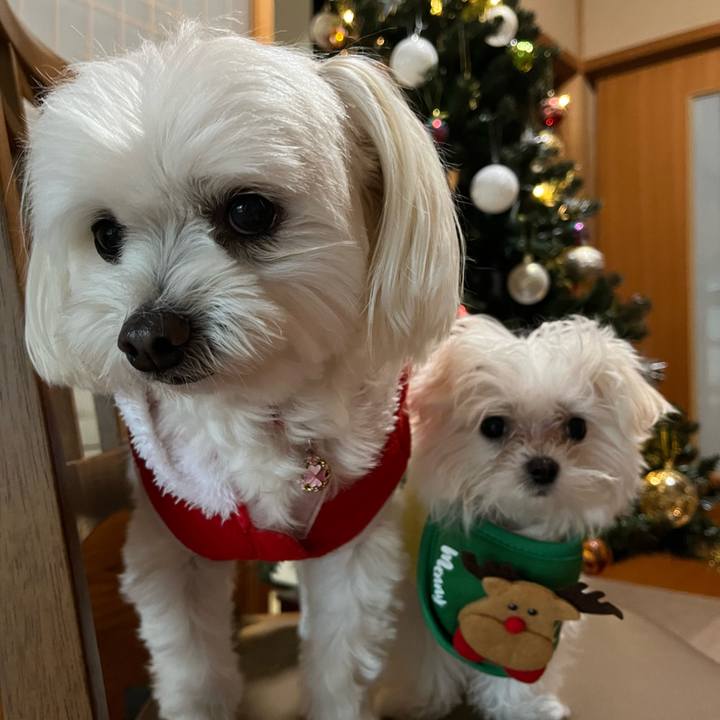 3d0443db cdf9 4e0d 9ac9 b2760fb675bc 1703404897422