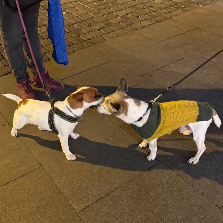 3d04478b 559e 45b8 9b1a 0d0bdb39bdc5 1767802969045