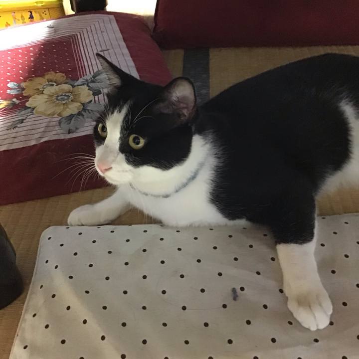 3d04478c 452e 44e7 8f8b 39587f7c8bdb 1662203976062