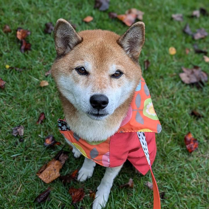 3d044b59 227a 4c26 8e13 42b2b3ea4db7 1728350764124