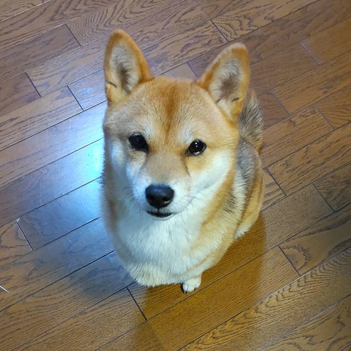 3d044cb4 a061 4abe 9d1e b2b6307706bc 1637831190878