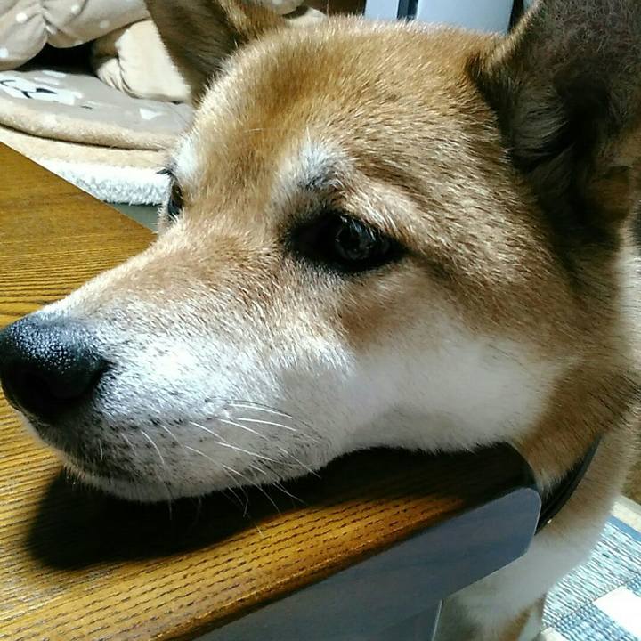 3d0462c8 ec6d 472c b982 01b19040ec9f 1569145734735