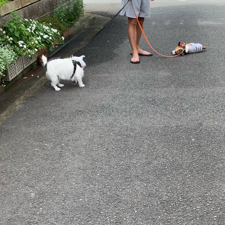 3d046a18 aa20 4321 a96d 1174526c4d60 1564875181281