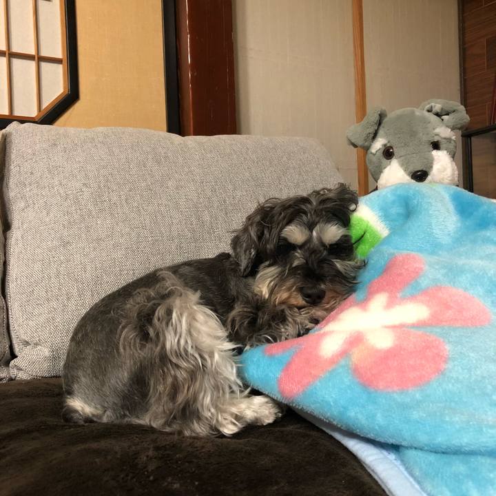 3d04b2a5 3ba7 4266 8be0 32228ddb719e 1589973853488