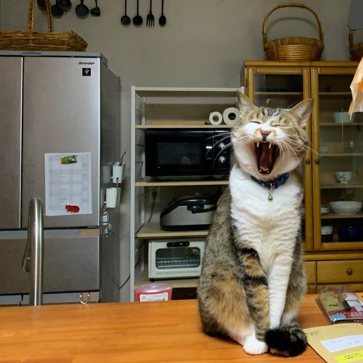 3d04c6fa 4864 4a2d 83ea 06c38fffa7d7 1643724516702