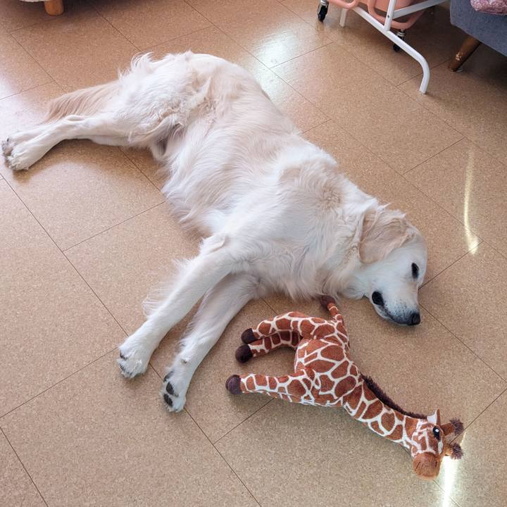 3d04e665 5a16 44bf 946e ab8439d995aa 1768777824024