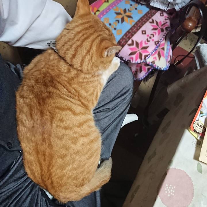 3d04f5f7 eb12 493c b964 ce1af8c118e9 1574758881185