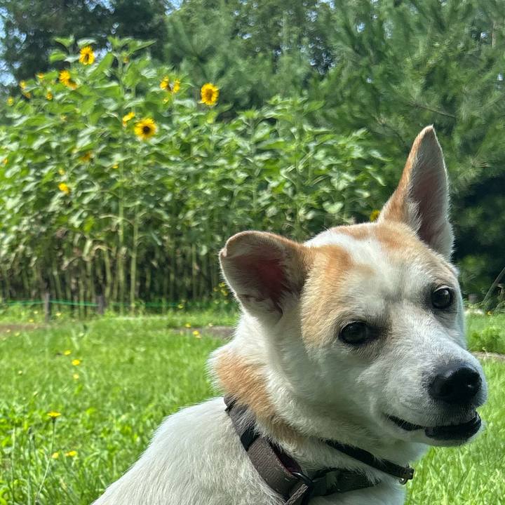 3d04f6b7 e4b1 42a1 848f 3a02cacfa4e7 1721393457824