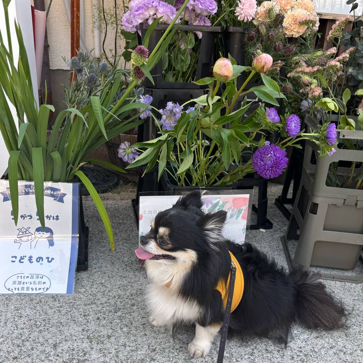 3d04f6f6 a076 4137 8ccf cac7c6ab38c6 1758854093201