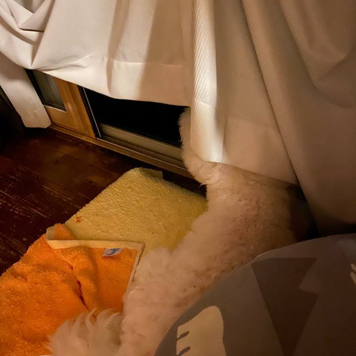 3d0525e7 3995 4fe4 a8b0 b926e0008d5e 1686482453059