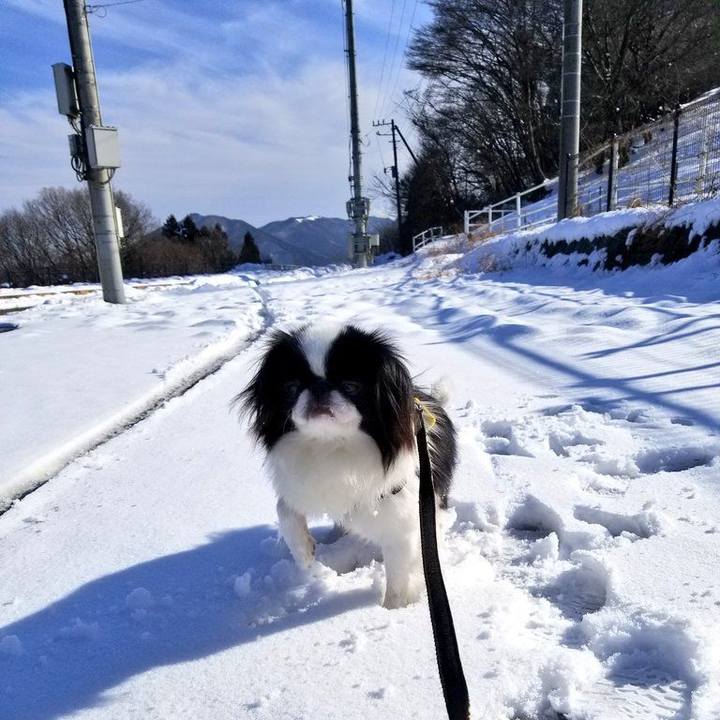 3d057e78 fc40 424f 801a 17c49a92f6b3 1644827461071