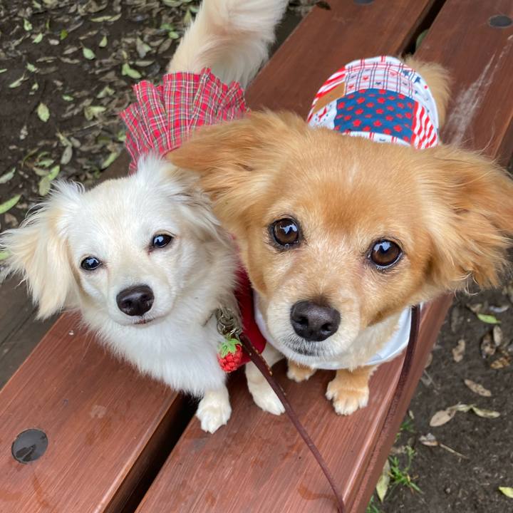 3d05aeb8 951b 46c0 a71e b5c5458daec0 1654646387825