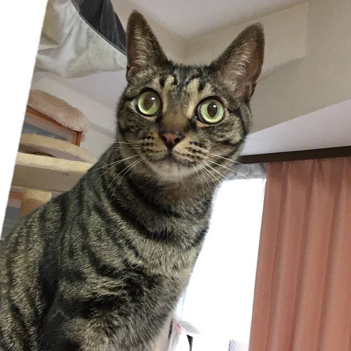 3d05bced 6ff5 4923 943f a55b3eb36b2f 1562316927481