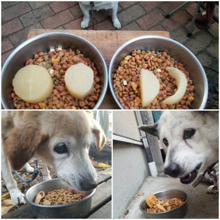 3d05c95e 2961 46c5 8f34 814c0214524a 1749659994011