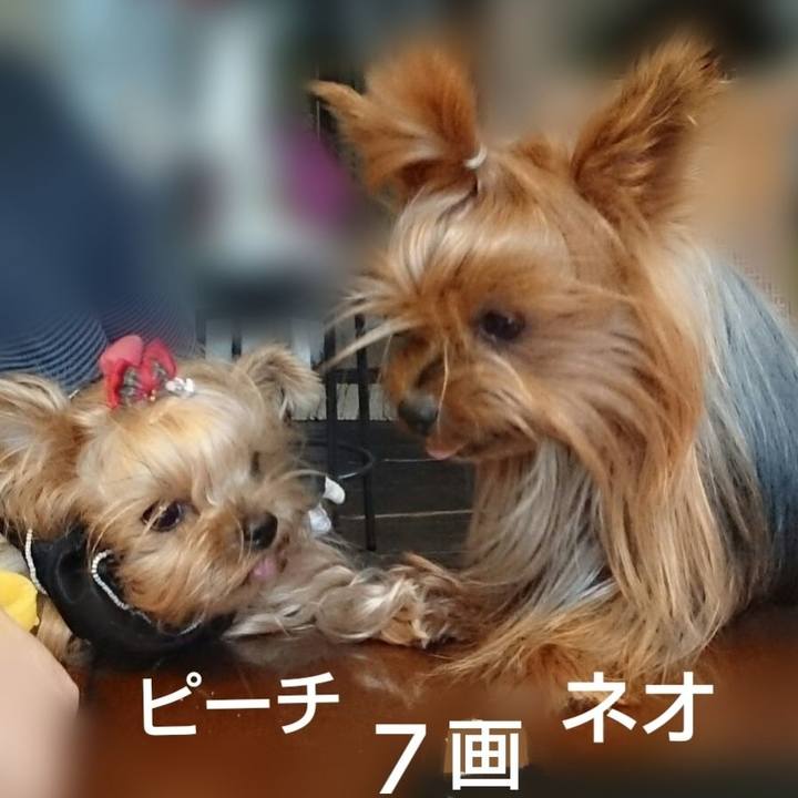 3d05d6ca 658c 4139 8884 ba86913a508a 1687403368281