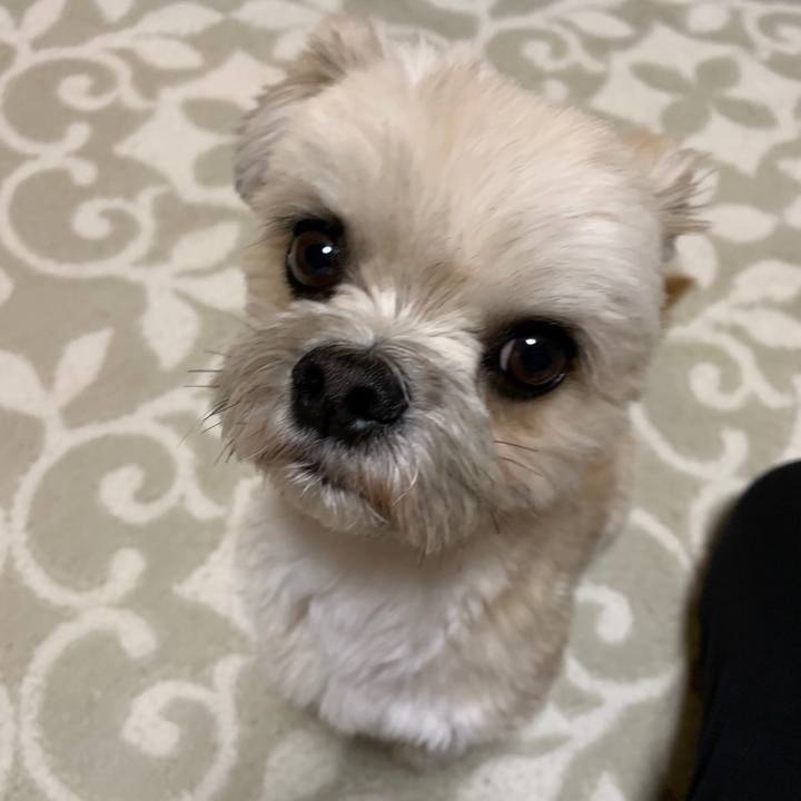 3d05f601 9fff 4985 bd99 40262a25bbb7 1554126830370