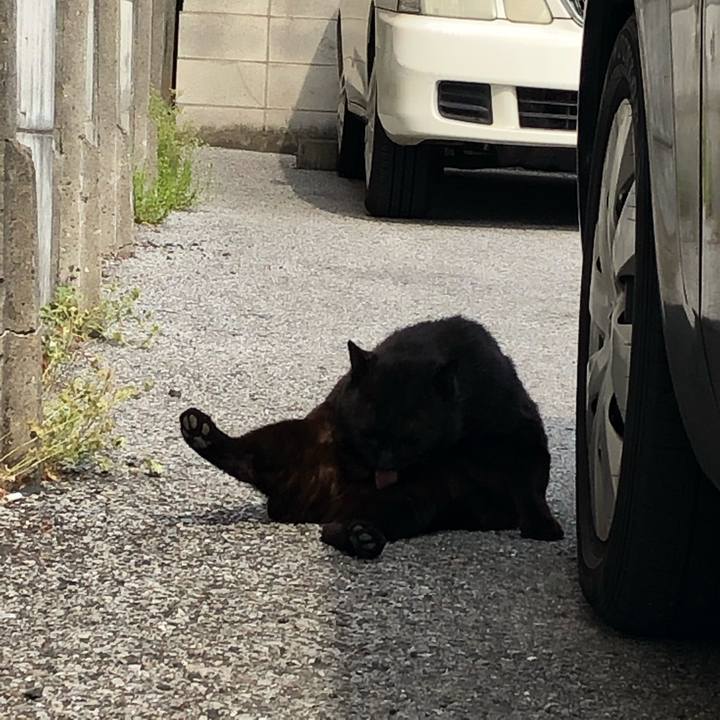 3d060287 aada 46b8 a205 d5b789e8786f 1555681157610