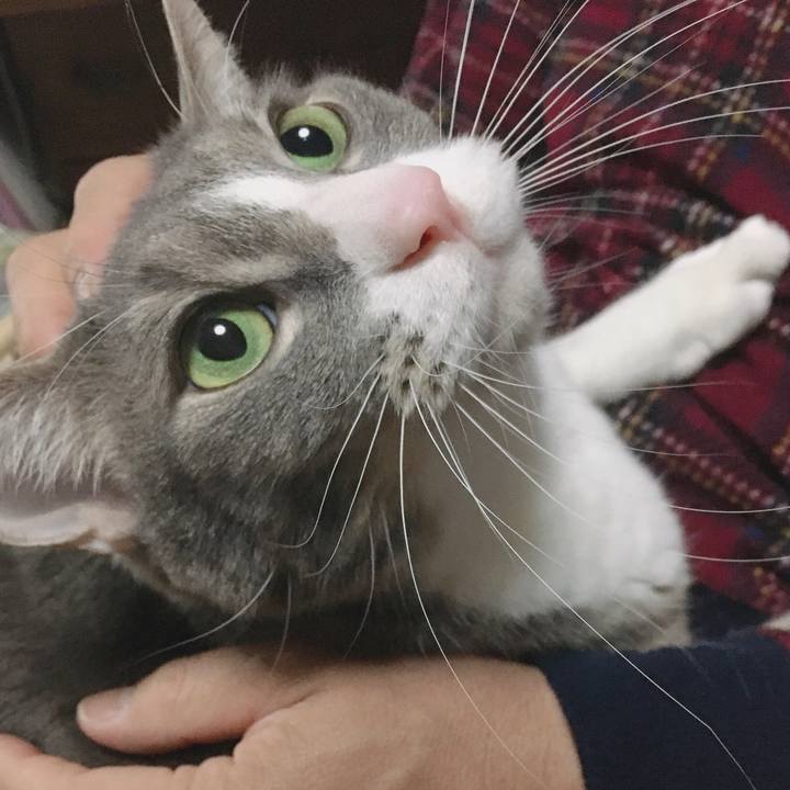 3d061285 8525 49a9 b9b1 6418561314ac 1583070845803