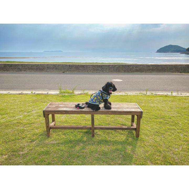 3d062fd2 f4f1 4d08 a239 1784df80d452 1590928912670