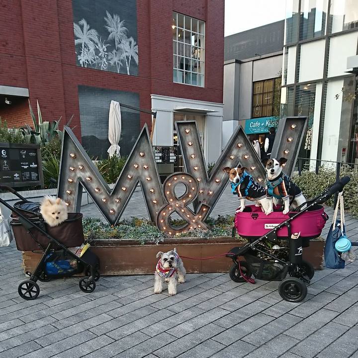 3d064306 52d1 49dc 9299 02cf717f8b52 1578743788424