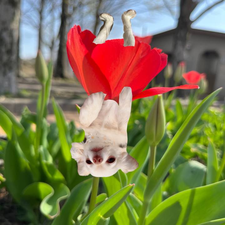 3d065678 3b42 4741 8954 dfc09cae3596 1711785624558