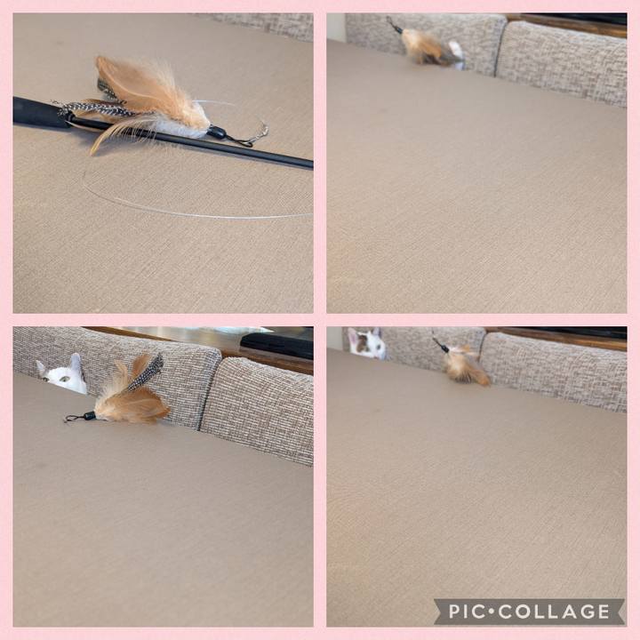 3d0666ce 6098 4b4f b18a 0a9e2b32e442 1732152058969