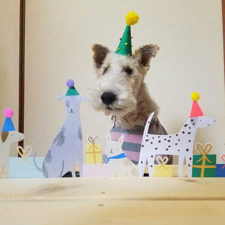 3d066738 b443 4c27 a2ca cd474d32682b 1577142259820