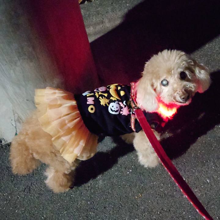 3d06722c a41c 4092 9e07 088057d0dcf5 1698423175955